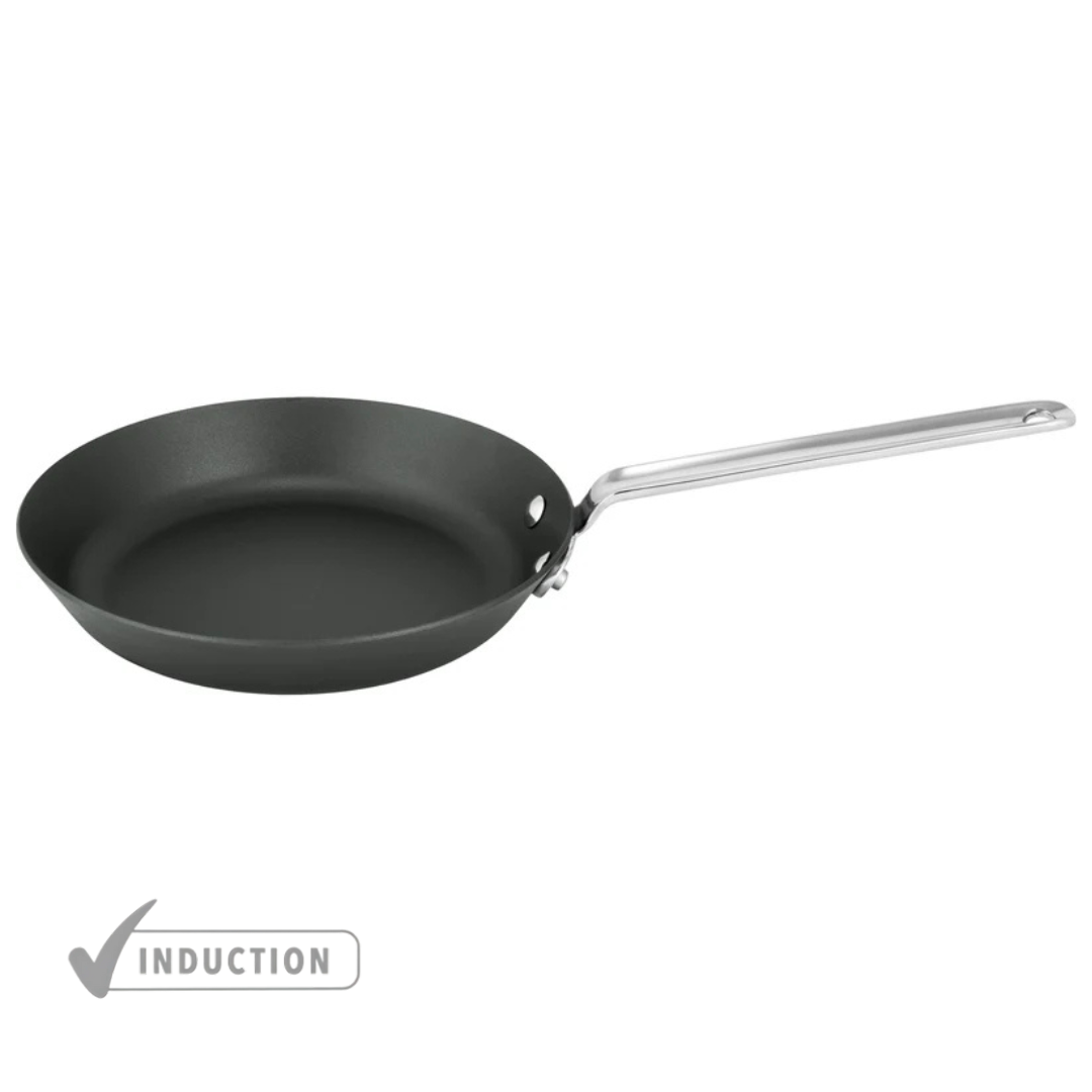 SCANPAN Black Iron 22cm Fry Pan