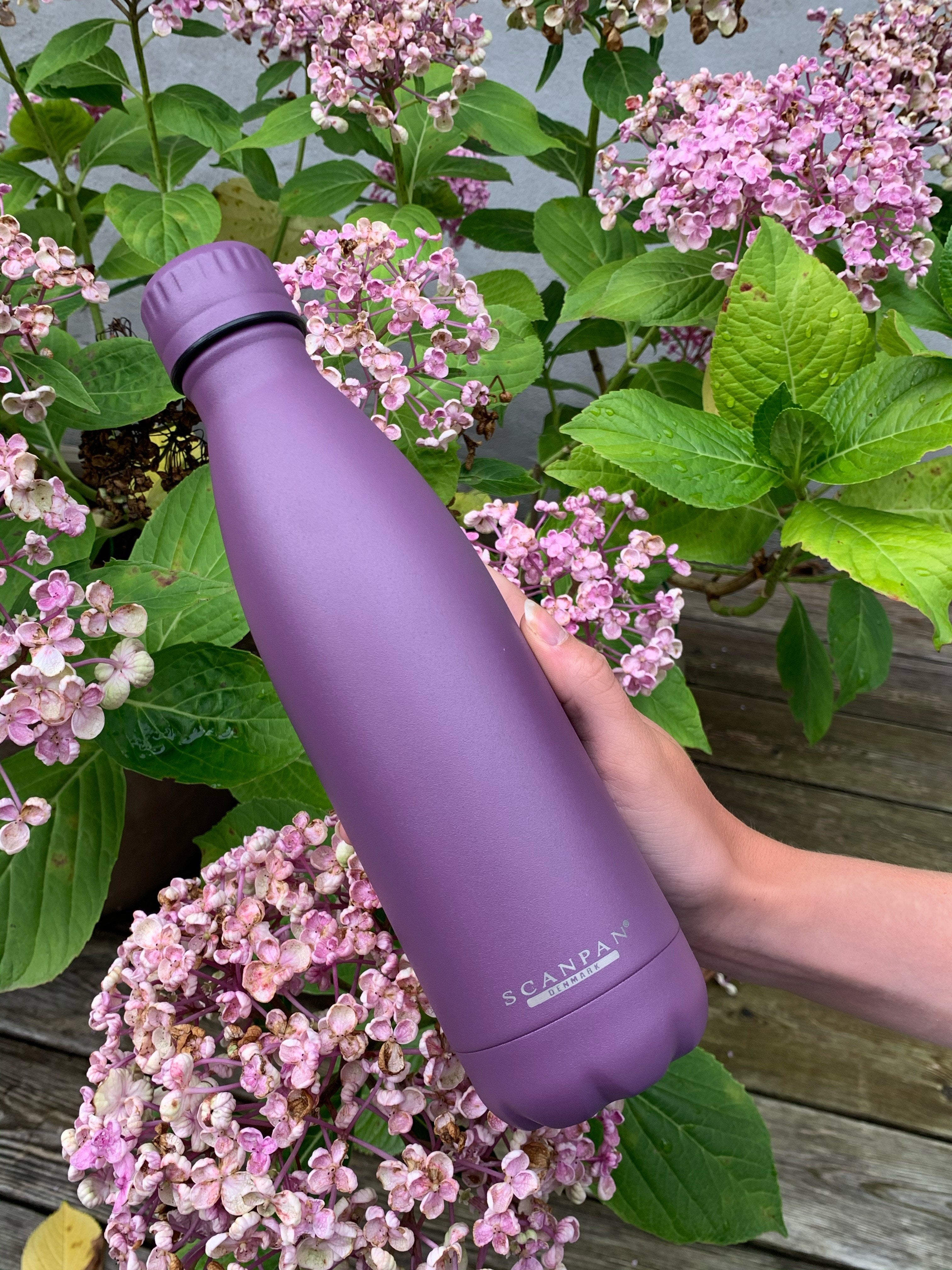 SCANPAN To Go 500ml Bottle - Purple Gumdrop