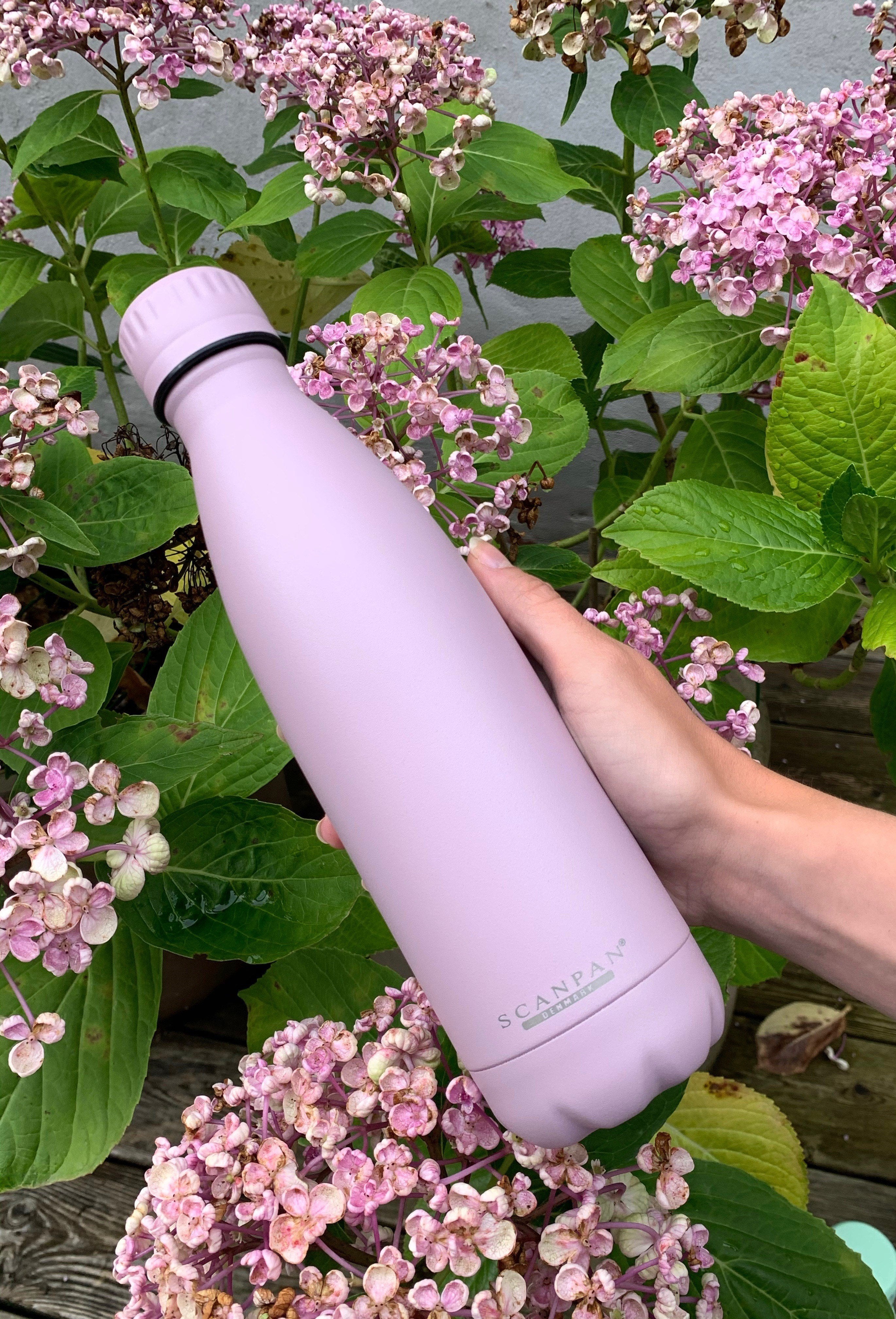 SCANPAN To Go 500ml Bottle - Dawn Pink