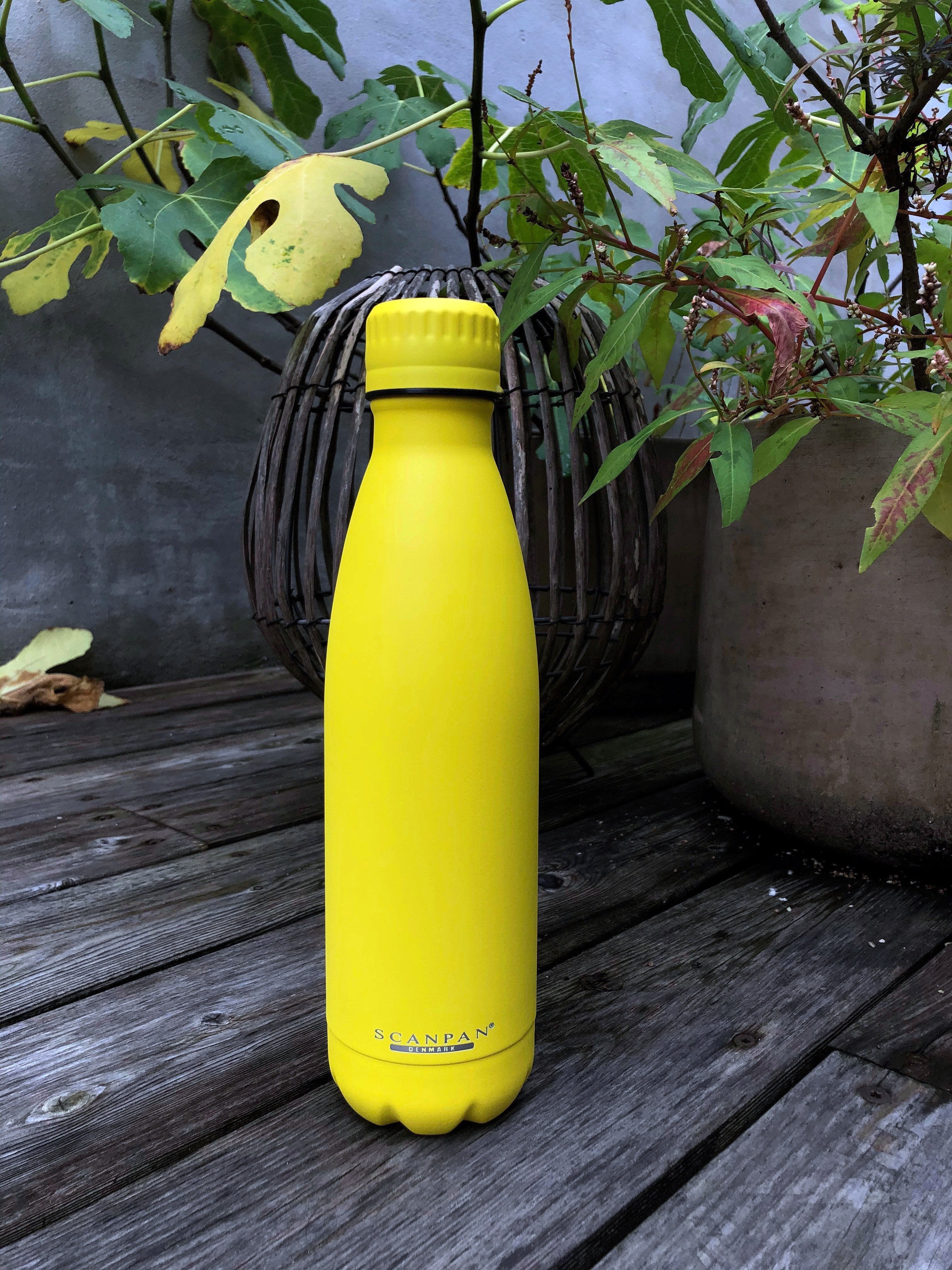 SCANPAN To Go 500ml Bottle - Primrose Yellow